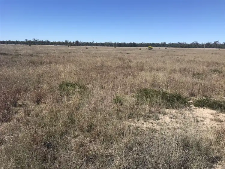 Fourth view of Homely rural property listing, Boort-Koi/1827 Boort-Koi Road, Miles QLD 4415