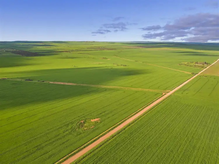 Second view of Homely rural property listing, . Cnr Augusta Hwy & Wheat Road, Beaufort SA 5550