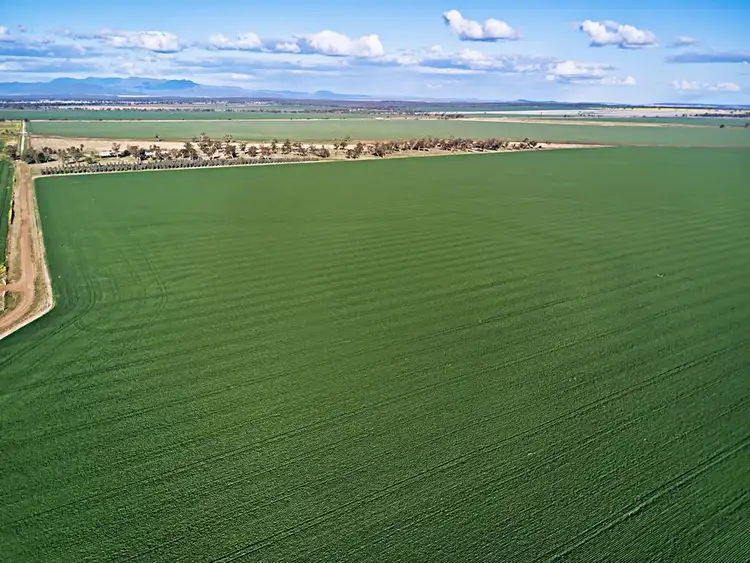 Main view of Homely rural property listing, 13367 Newell Highway, Narrabri NSW 2390