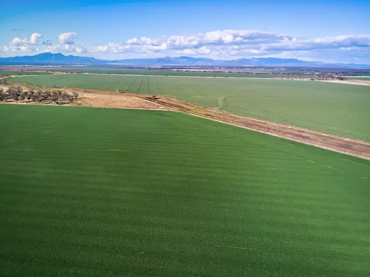 Third view of Homely rural property listing, 13367 Newell Highway, Narrabri NSW 2390