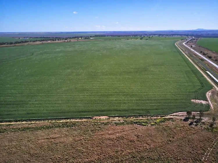 Fourth view of Homely rural property listing, 13367 Newell Highway, Narrabri NSW 2390