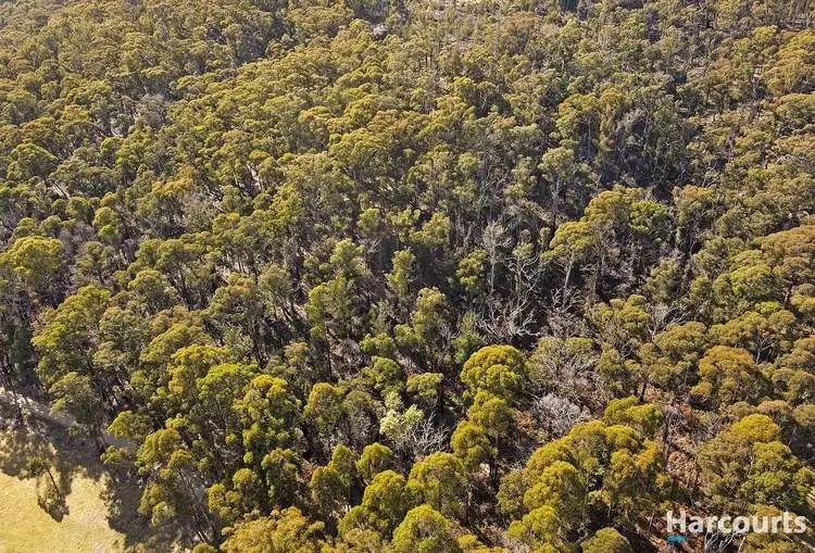 Fifth view of Homely land listing, Lot 5 Gardiners Creek Road, St Marys TAS 7215