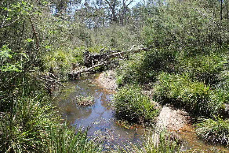 Lot 89 Ningee Nimbell Creek Road, Nerriga NSW 2622