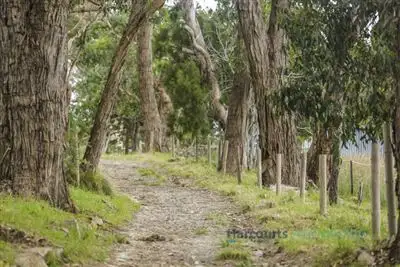 Fifth view of Homely house listing, 24 Oxford Road, Aldgate SA 5154