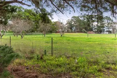 Second view of Homely house listing, 79 Warrawee Road, Balnarring VIC 3926