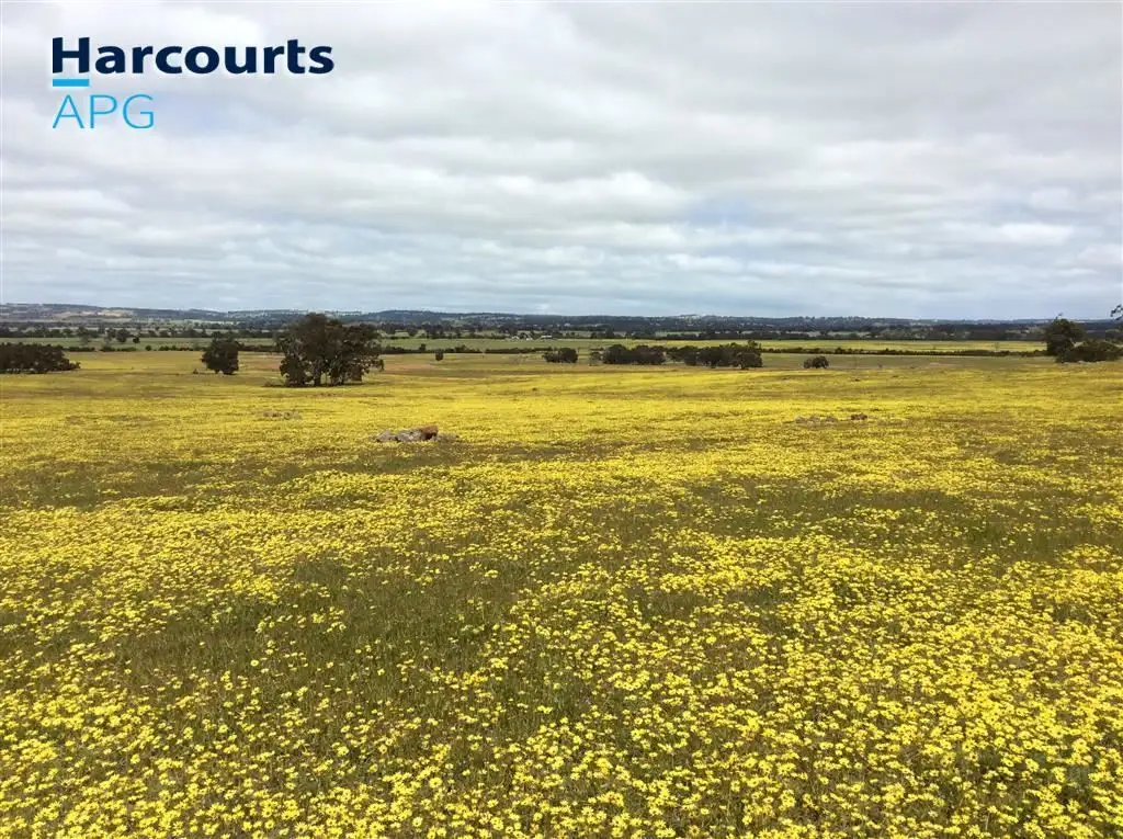 Main view of Homely rural property listing, 184 Mcdonald Road, Darkan WA 6392