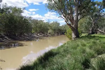 Main view of Homely rural property listing, . Gwydir Highway, Collarenebri NSW 2833