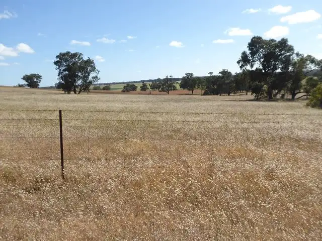 Seventh view of Homely rural property listing, 4712 Naracoorte Road, Naracoorte SA 5271