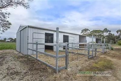 Third view of Homely rural property listing, 34 Ronda Ave, Roseworthy SA 5371