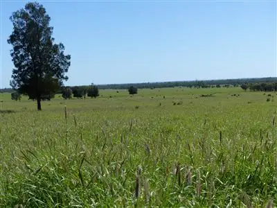 Fourth view of Homely rural property listing, . Seventeen Mile, Roma QLD 4455