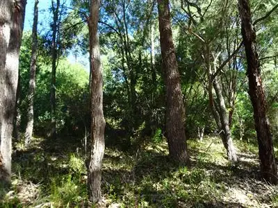 Seventh view of Homely house listing, 65 Jamieson Street, Pemberton WA 6260