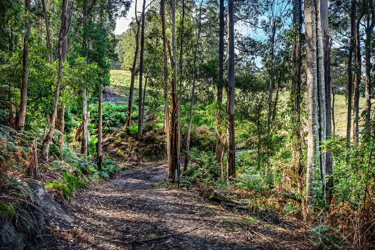 Fifth view of Homely land listing, Lot 1/235003 Hill Street, Middleton TAS 7163