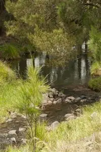 Seventh view of Homely rural property listing, 2260 Pages Creek Rd, "Harlyn", Ellerston via, Scone NSW 2337