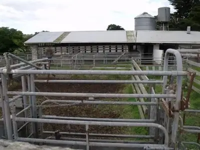 Fifth view of Homely rural property listing, 160 Verlings Lane, Yarram VIC 3971