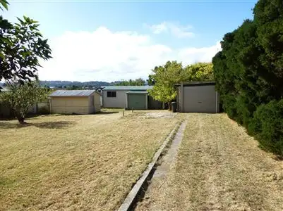 20 Napier Street, Beauty Point TAS 7270