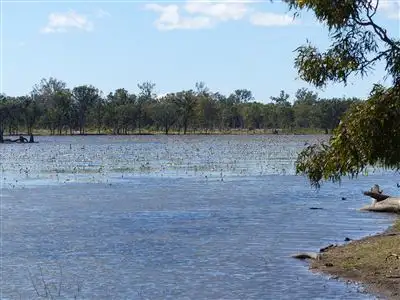 Seventh view of Homely rural property listing, . "Belle Eau", Taroom QLD 4420