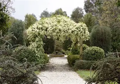 Sixth view of Homely rural property listing, 89 Glover Street, Kersbrook SA 5231