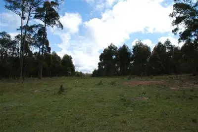 Third view of Homely rural property listing, 244 Bukeiro Road, Walcha NSW 2354