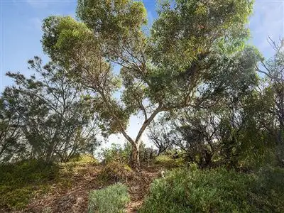 Fifth view of Homely house listing, 22/209 Esplanade, Aldinga Beach SA 5173