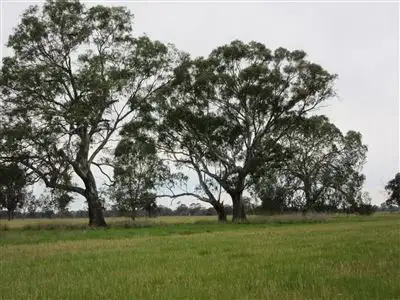 Sixth view of Homely rural property listing, 1220 Cullens Road, Euroa VIC 3666