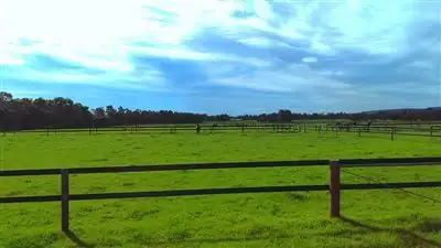 Sixth view of Homely rural property listing, Lot 800 South West Hwy, North Dandalup WA 6207