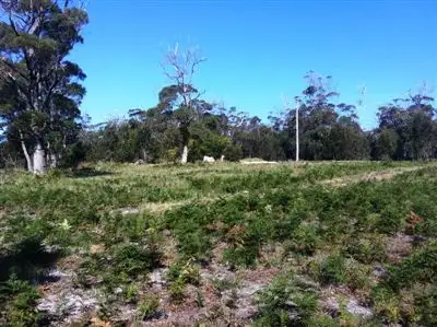 Third view of Homely land listing, 1/44 Coffey Court, Binalong Bay TAS 7216