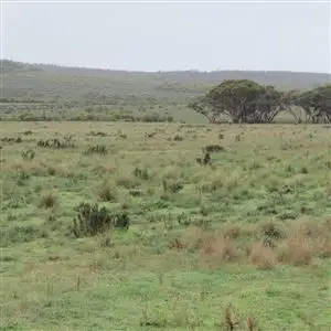 Second view of Homely rural property listing, . "Beehive Farm" Carlingup Road, Ravensthorpe WA 6346