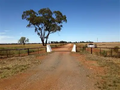 Second view of Homely rural property listing, " RED TANK", Nyngan NSW 2825