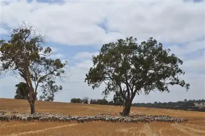 Main view of Homely rural property listing, . Wandarin, Boyacup Road, Frankland WA 6396