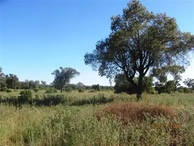 Seventh view of Homely rural property listing, 560 Laroo Road, Hermidale NSW 2831