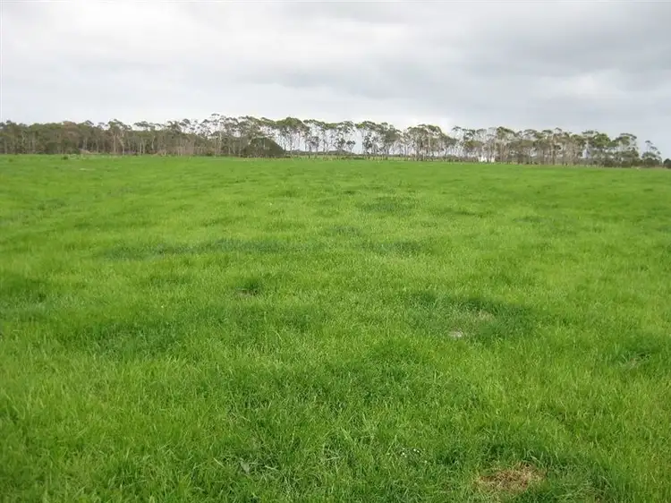 Fifth view of Homely rural property listing, 976 Montagu Road, Smithton TAS 7330