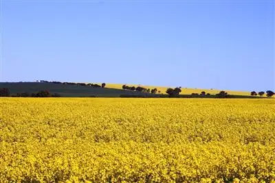 Main view of Homely rural property listing, Address available on request