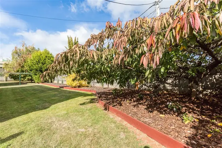 Seventh view of Homely house listing, 11 Ellenor Street, Scottsdale TAS 7260