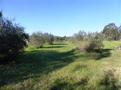 Third view of Homely land listing, 401 Auburn Road, Auburn SA 5451