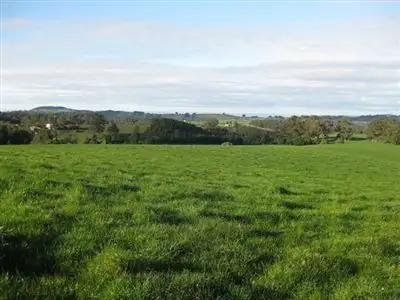 Seventh view of Homely rural property listing, 1161 Mount Hicks Road, Mount Hicks TAS 7325