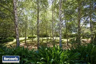 Main view of Homely rural property listing, 36 Hamono Road, Neerim VIC 3831