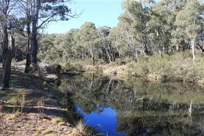 Sixth view of Homely rural property listing, 4369 Cooma Road, Braidwood NSW 2622