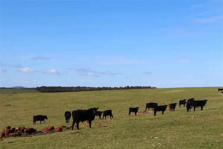 Seventh view of Homely rural property listing, 504 Marbelup Road, Albany WA 6330