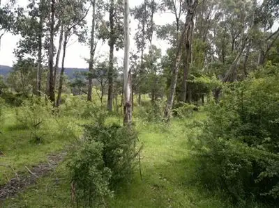 Sixth view of Homely rural property listing, 14 Lower Swamp Road, Lachlan TAS
