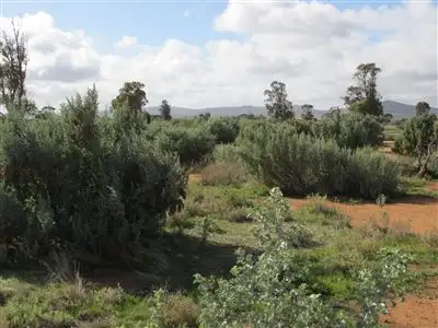 Sixth view of Homely rural property listing, 688 Minburra Road, Orroroo SA 5431