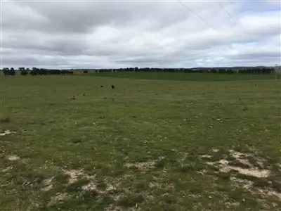 Main view of Homely rural property listing, Lot 12 Windellama Road, Goulburn NSW 2580