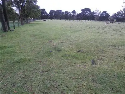 Main view of Homely rural property listing, Address available on request