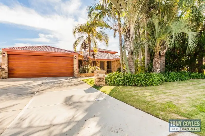 Main view of Homely house listing, 20 Windmill Drive, Bibra Lake WA 6163