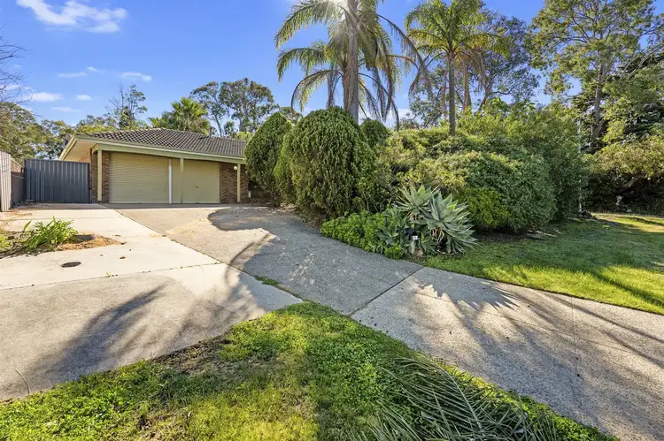 Main view of Homely house listing, 3 Canary Place, Kardinya WA 6163