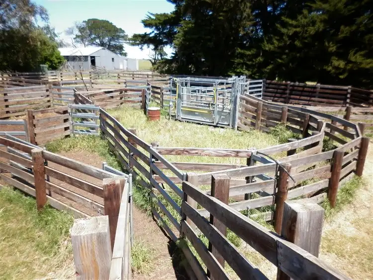 Second view of Homely rural property listing, "Fernbank" 742 Bowaka Road, Kingston Se SA 5275