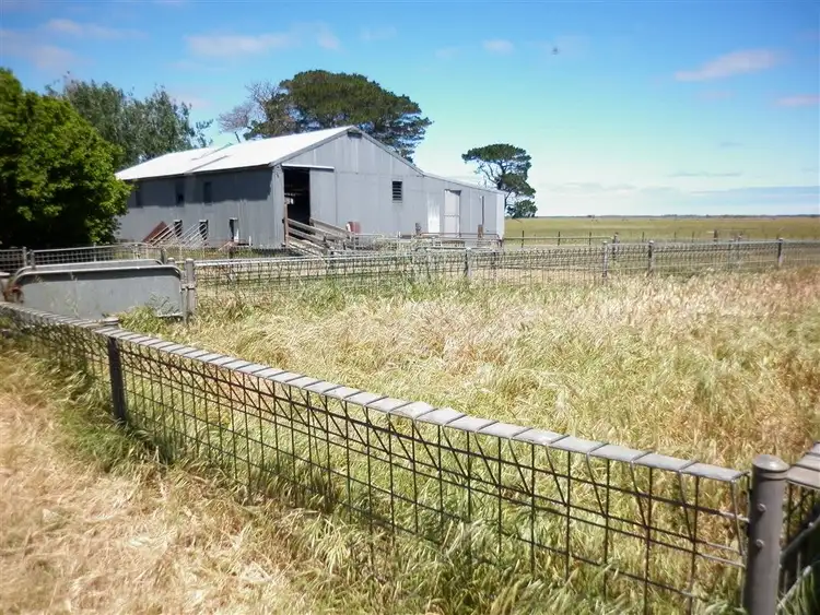 Seventh view of Homely rural property listing, "Fernbank" 742 Bowaka Road, Kingston Se SA 5275