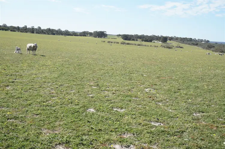 Main view of Homely rural property listing, Address available on request
