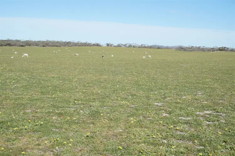 Sixth view of Homely rural property listing, Address available on request