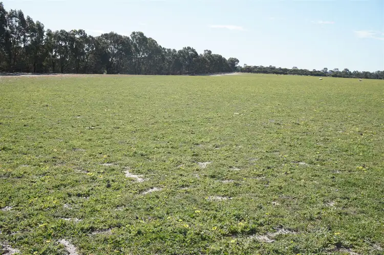 Seventh view of Homely rural property listing, Address available on request