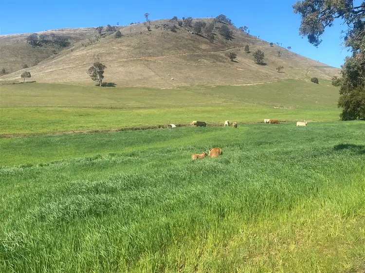 Fourth view of Homely rural property listing, '10 Acre'/933 Queens Pinch Road Mullamuddy, Mudgee NSW 2850